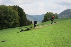 IMG_8871