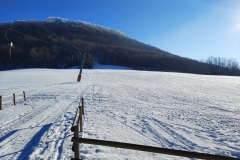 IMG-20210115-WA0004