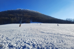 IMG-20210115-WA0006