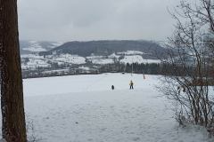 IMG_20210116_120132