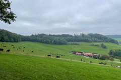 IMG-20250928-WA0002
