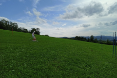 IMG_20210731_165840