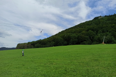 IMG_20210731_170012