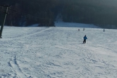 wp-1485026943724