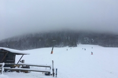 img-20190112-wa00001114207678