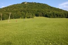 Grasski